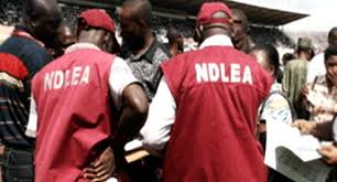  FG NDLEA to begin mandatory drug tests for 800 000 incoming undergraduates in Sept 