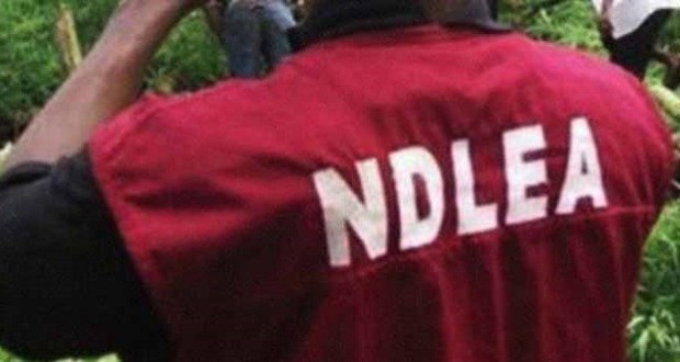  NDLEA declares 4 associates of Lagos drug kingpin wanted 