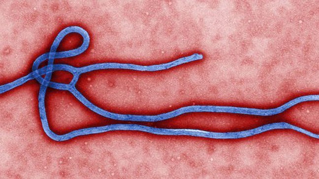 Ebola Nigeria on high alert as NCDC updates emergency contingency plan 
