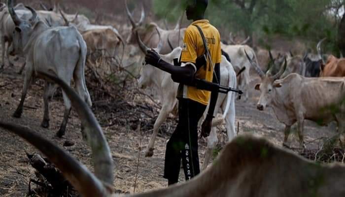  Suspected herdsmen kill newlywed soldier many others in Benue community 