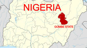  2 children die in Gombe Eid ground stampede 