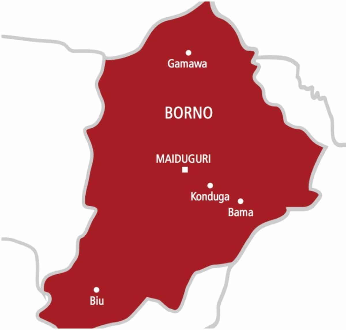  15 year old girl arrested for dumping newborn in pit toilet at Borno IDP camp 