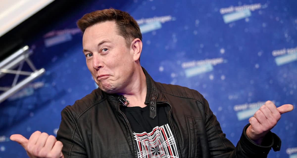 World richest man Elon Musk welcomes 14th child World richest man Elon Musk welcomes 14th child