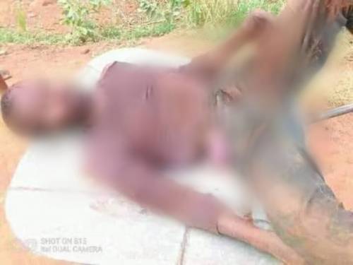  Gunmen murder Fulani herder injure cattle in Taraba 