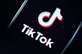  US TikTok goes offline as ban comes into force 