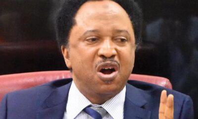  Shehu Sani warns against spraying perfume in armpit private parts reveals cancer incident 