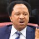 Shehu Sani warns against spraying perfume in armpit private parts reveals cancer incident 