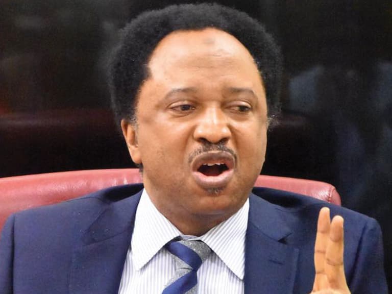 Shehu Sani warns against spraying perfume in armpit private parts reveals cancer incident Shehu Sani warns against spraying perfume in armpit private parts reveals cancer incident