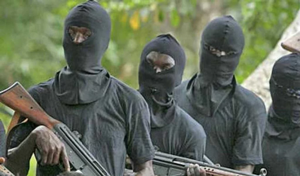 Gunmen murder 2 police officers in Yobe Gunmen murder 2 police officers in Yobe