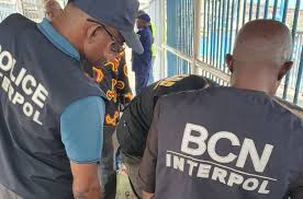  FG arrests 10 internationally wanted persons at Nigerian borders 