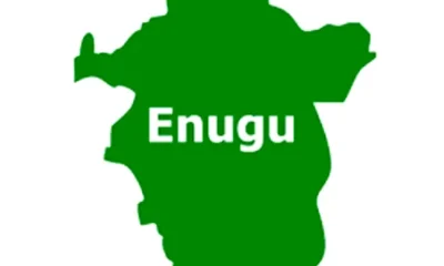  Woman allegedly kills younger sister with cutlass in Enugu 