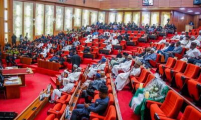  Senate to suspend plenary for 2 weeks over 2025 budget 