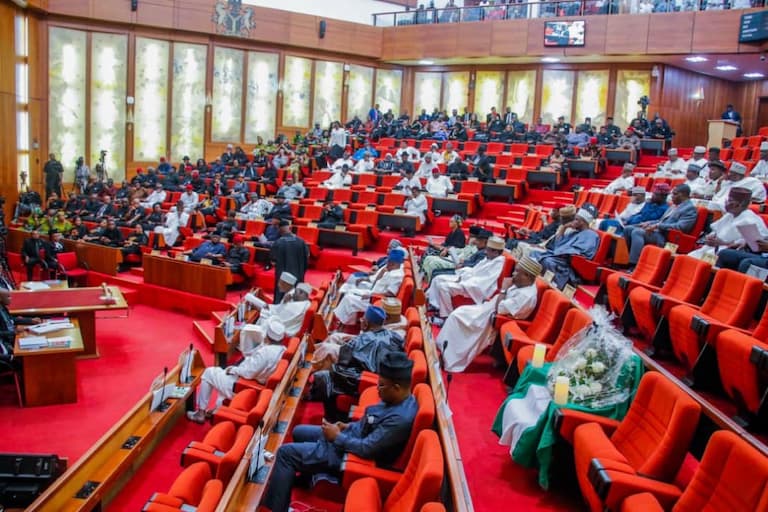 Senate to suspend plenary for 2 weeks over 2025 budget Senate to suspend plenary for 2 weeks over 2025 budget
