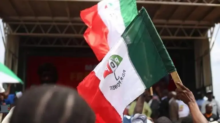 PDP announces winner of Anambra guber primary PDP announces winner of Anambra guber primary