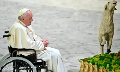  See 5 cardinals likely to succeed Pope Francis as next leader of catholic church 