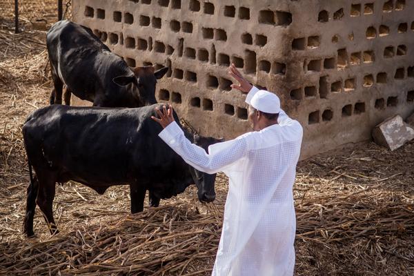  Ex President Buhari undergoes medical treatment in London 