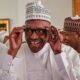 How Buhari s govt borrowed 400bn to stabilise dollar to naira rate Senator 