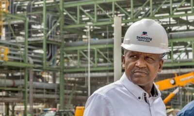  105 companies including Dangote Mikano now enjoy tax exemptions amid revenue concerns 