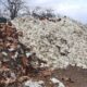  Birds Flu hits Kano kills dozens of chicken 