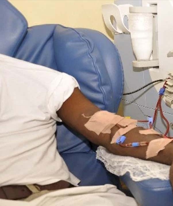 US citizens others rushing to Nigeria for kidney transplant 8211 Shettima US citizens others rushing to Nigeria for kidney transplant Shettima
