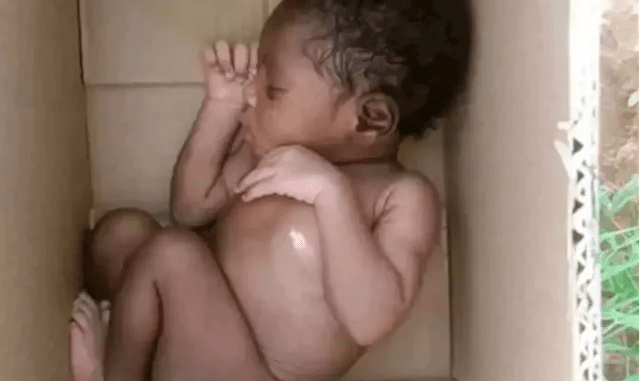 Housewife arrested for allegedly abandoning newborn in drainage ditch Housewife arrested for allegedly abandoning newborn in drainage ditch