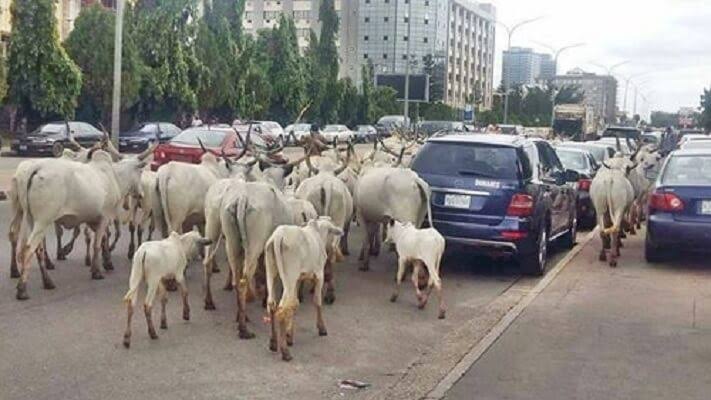 Court jails herdsman for assaulting woman Court jails herdsman for assaulting woman