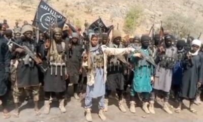  ISWAP terrorists ambush travellers in Borno 