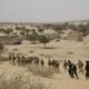  ISWAP militants attack Yobe kill 3 soldiers loot community 