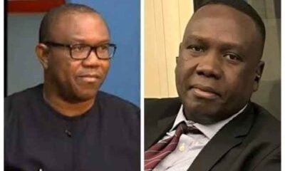  Daniel Bwala mocks Peter Obi over 2023 election defeat 