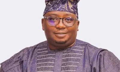  150 million Nigerians now enjoying good electricity supply Minister 
