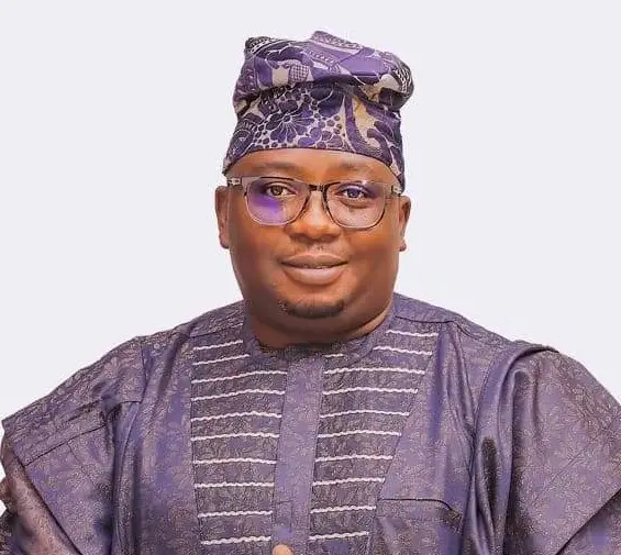 150 million Nigerians now enjoying good electricity supply 8211 Minister 150 million Nigerians now enjoying good electricity supply Minister