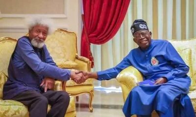  Soyinka opens up on delay in assessing Tinubu s govt 