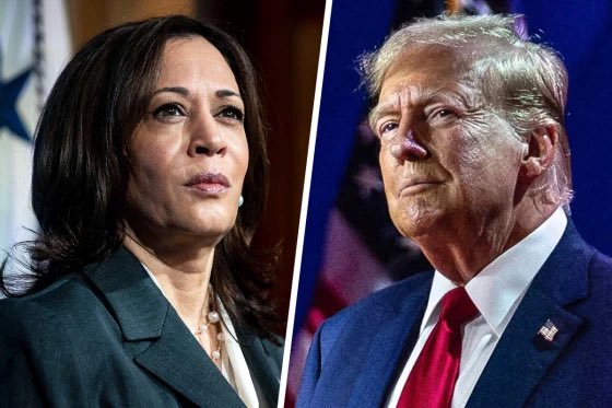 Donald Trump takes early lead in U S poll over Kamala Harris Donald Trump takes early lead in U S poll over Kamala Harris