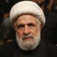  Hezbollah appoints Naim Kassem as leader amid escalating Gaza conflict 