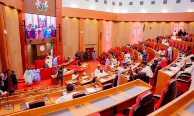  Police summon Nigerian senator over alleged Russian KGB infiltration 