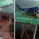  Identities of NNPC staff in helicopter crash revealed 