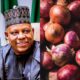  VP Shettima Gov Aliyu to grace 6th International Onion Conference in Sokoto 