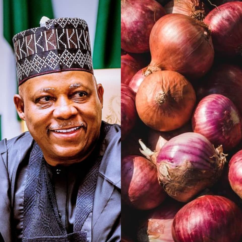 VP Shettima Gov Aliyu to grace 6th International Onion Conference in Sokoto VP Shettima Gov Aliyu to grace 6th International Onion Conference in Sokoto