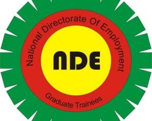  NDE disowns claim of 900 000 on youth skill engagement scheme clarifies target is 93 731 