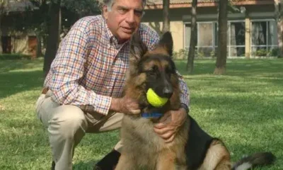  Indian billionaire wills 91m to his dog others to loyal aides 