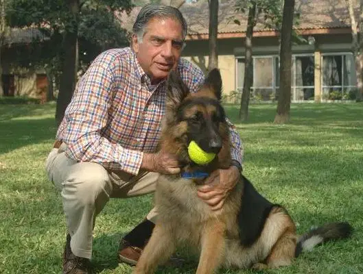 Indian billionaire wills 91m to his dog others to loyal aides Indian billionaire wills 91m to his dog others to loyal aides