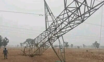 Vandals disrupt repair works on major transmission line pull down 3 towers 