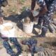 Police recover unexploded explosives washed away by flood in Borno 