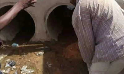  Suspected ritualist k lls widow cuts off pr vat parts 
