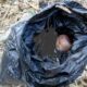 Day old baby found dead in Bauchi waste dump 