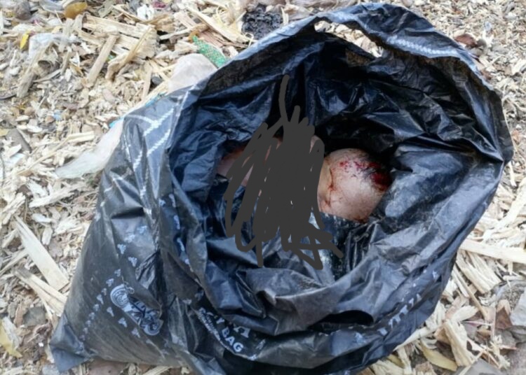 Day old baby found dead in Bauchi waste dump Day old baby found dead in Bauchi waste dump