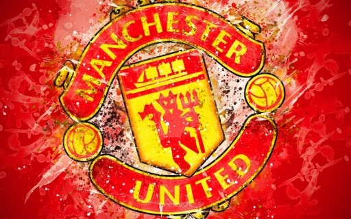 Manchester United appoint new head coach Manchester United appoint new head coach