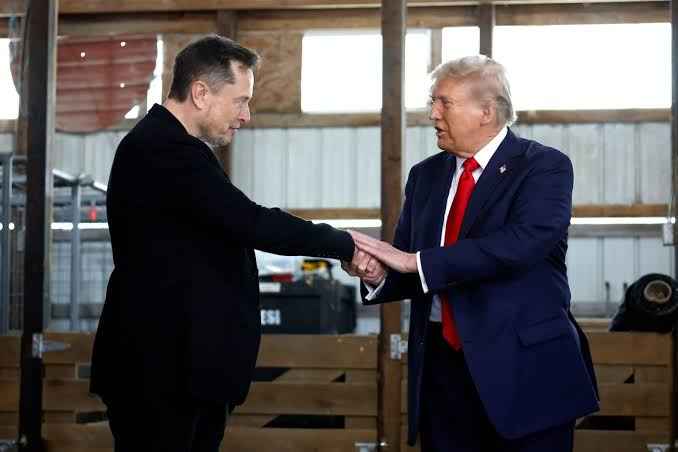 Trump appoints Elon Musk to lead new department of government efficiency Trump appoints Elon Musk to lead new department of government efficiency