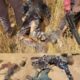  Troops vigilantes neutralize 2 bandits in Zamfara forest raid 
