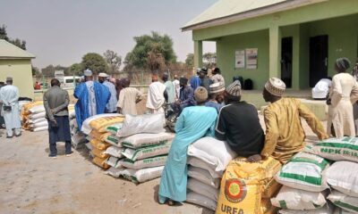  6 000 Kano wheat farmers get support from FG 